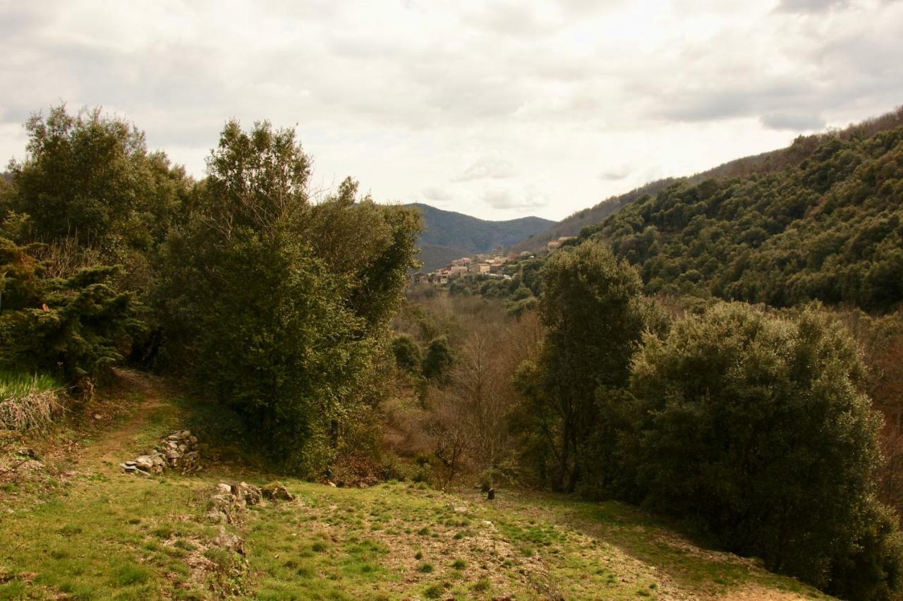 Mas Des Nabieres Bed and Breakfast Saint-Martial  Exteriör bild
